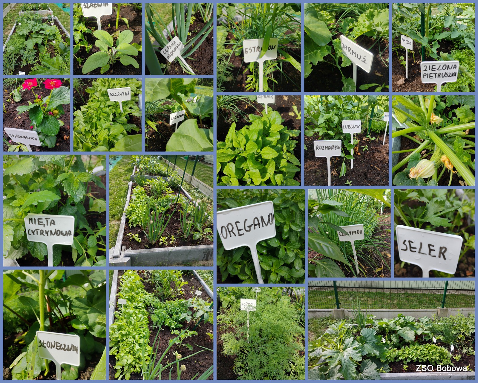 Zielona Bobowa ma swój ogródek