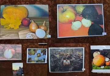 Konkurs biblioteczny „Cebula w (jesiennej) odsłonie Szymborskiej” rozstrzygnięty