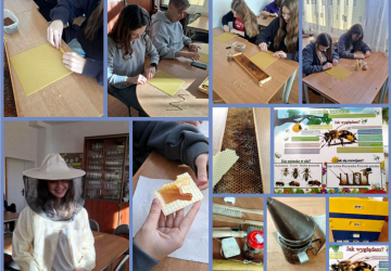 Z życia pszczół ... w ZSO w Bobowej