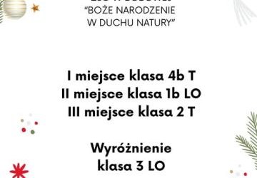 Rozstrzygnięcie konkursu 