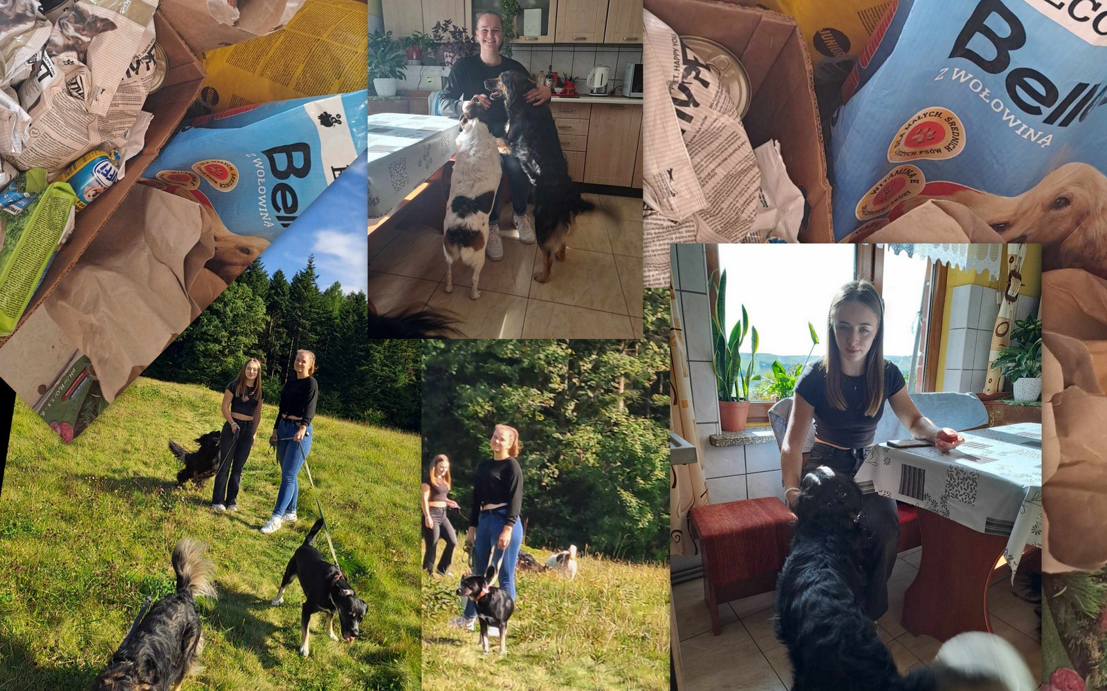 W ZSO dokarmia(MY) zwierzęta